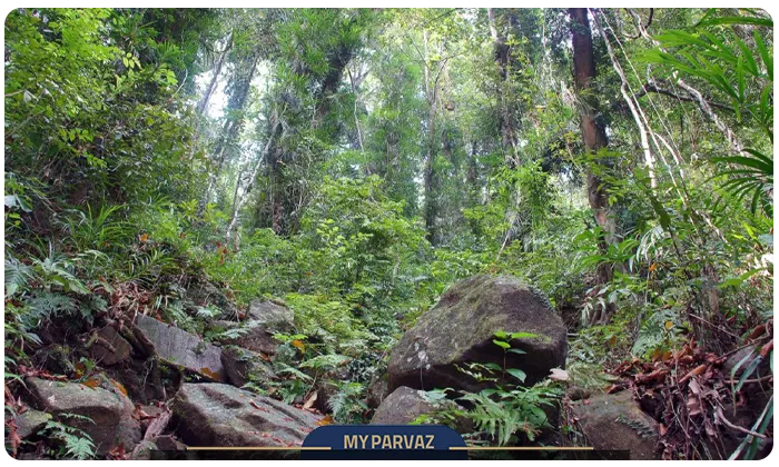 Sinharaja, Sri Lanka